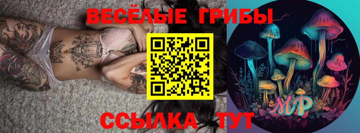Галлюциногенные грибы MAGIC MUSHROOMS Сызрань