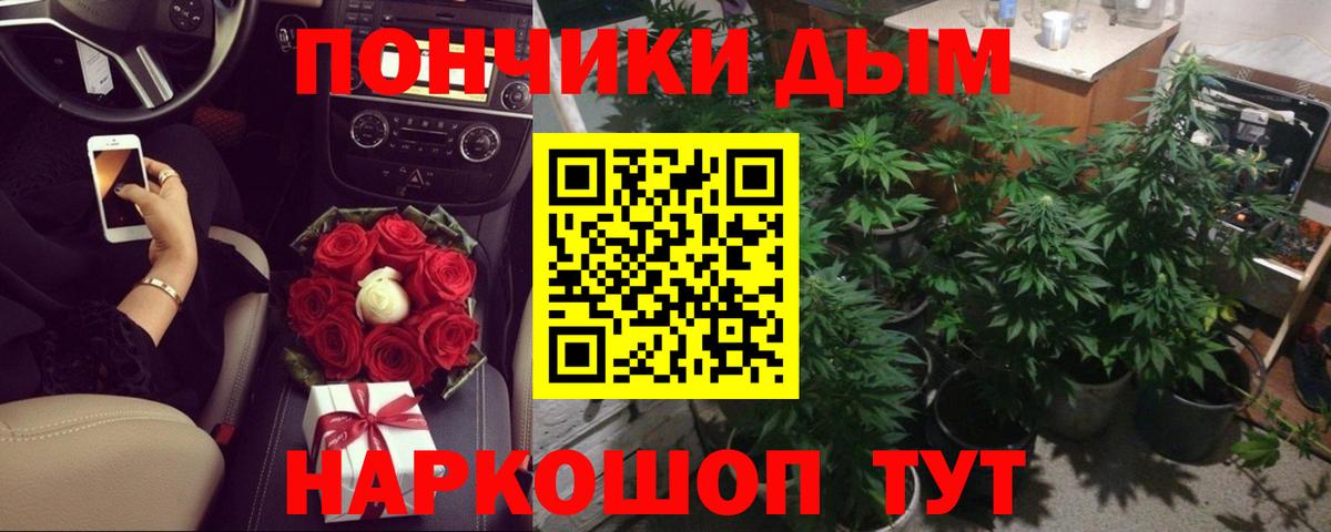 Бошки марихуана семена Сызрань